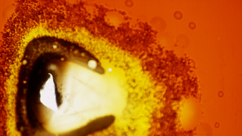 Real 35mm Film Burn Effect  - 4K